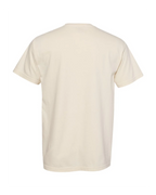 National Park Tour Tee