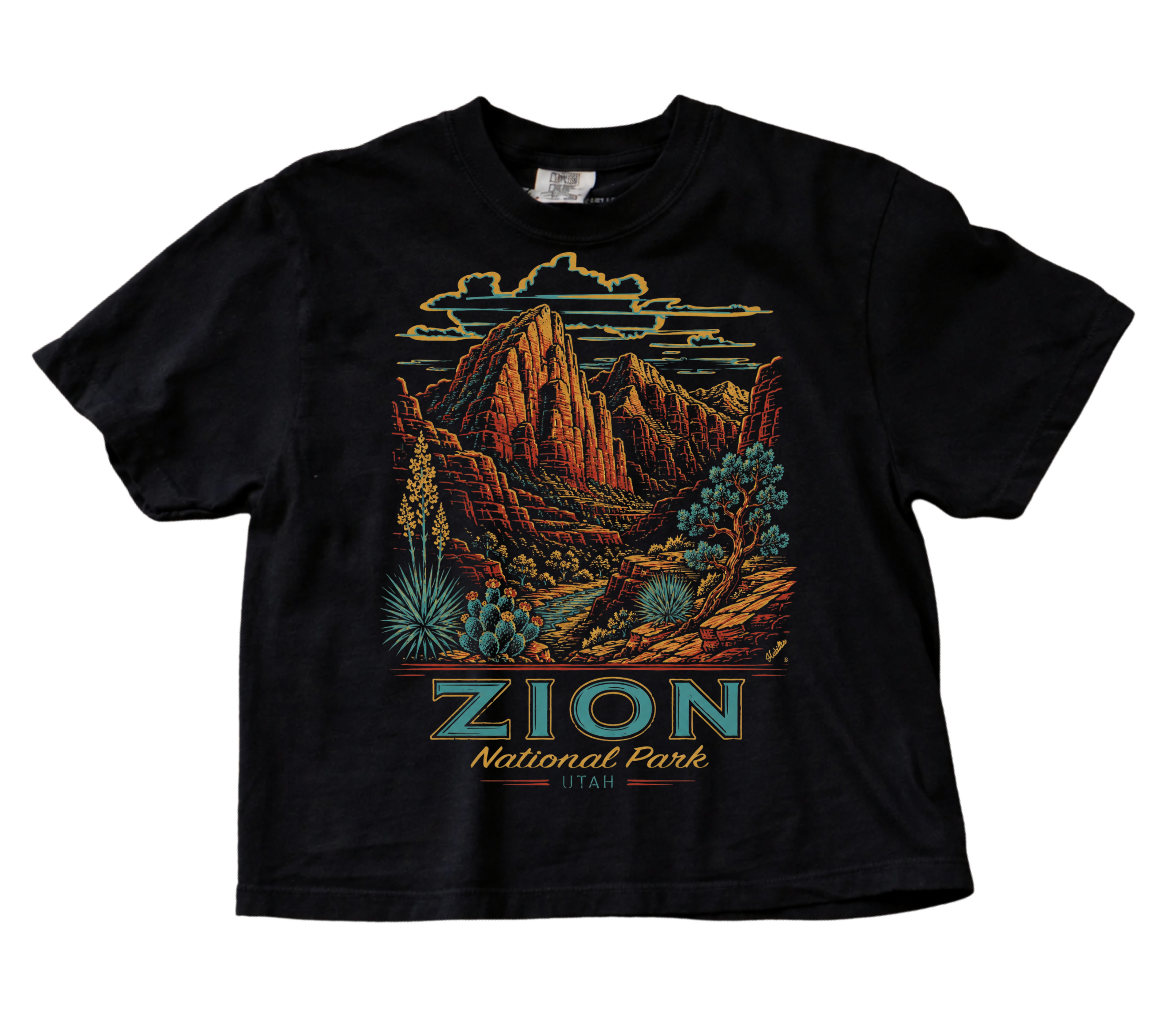Zion National park boxy tee