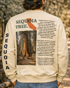 Sequoia Graphic Sweatshirt
