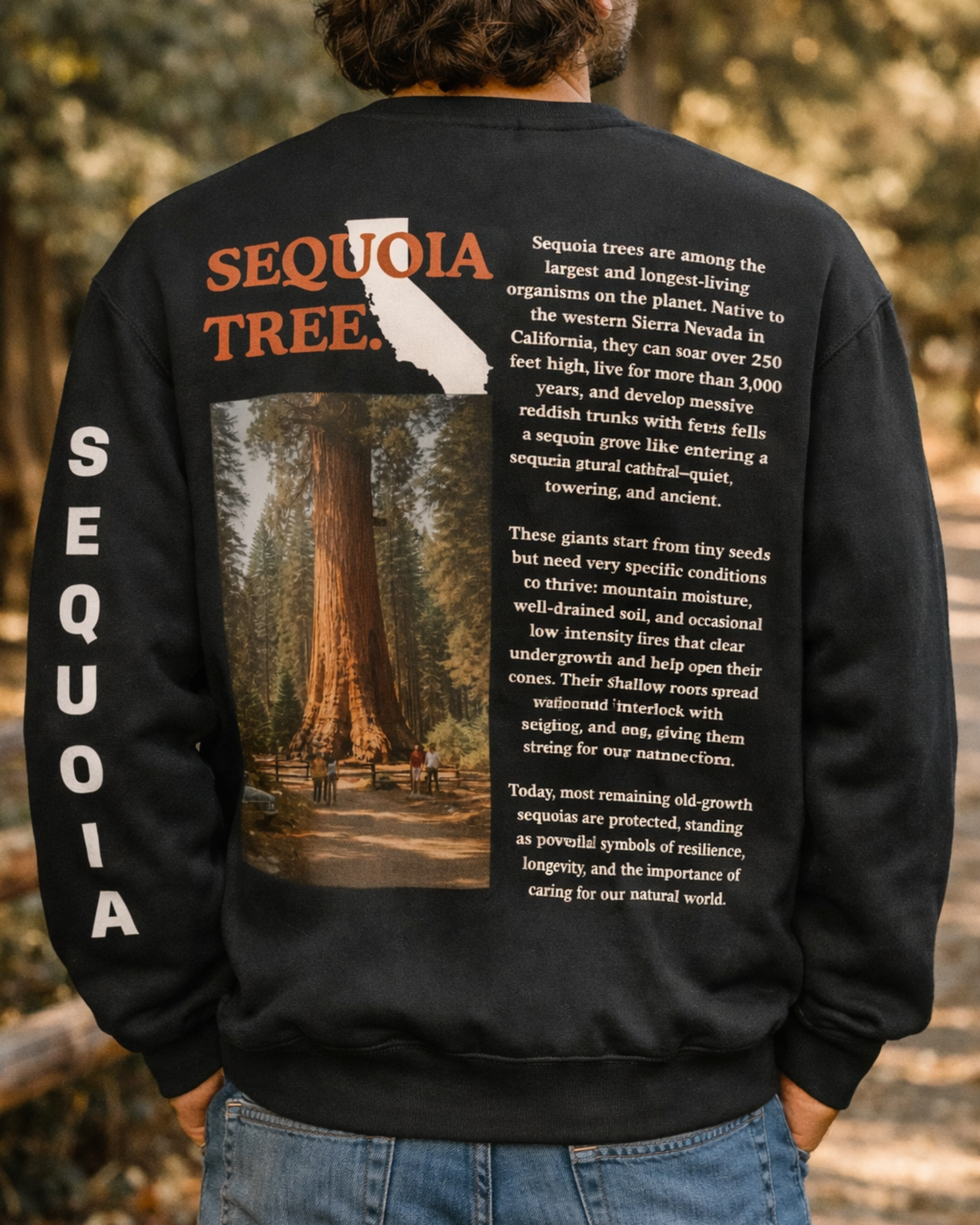Sequoia Graphic Sweatshirt