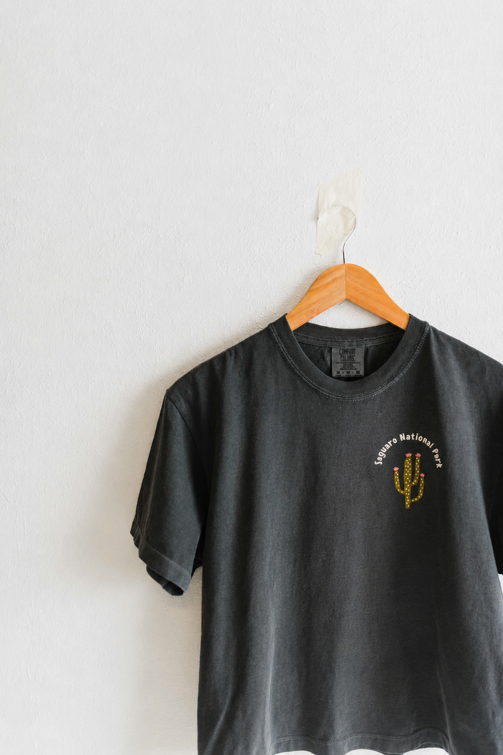 Saguaro Ntl Park women’s cropped boxy tee